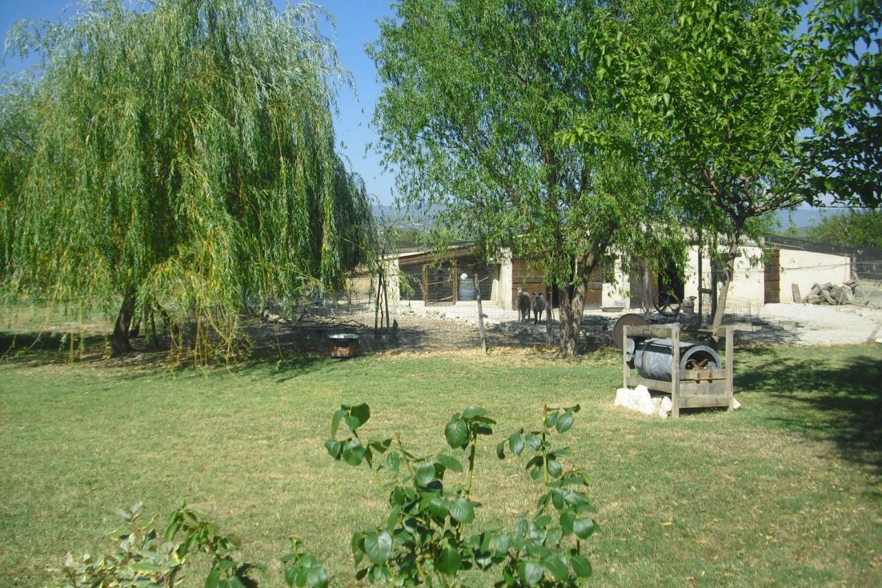 Apartament Lou Mas Li Pitchoun "Le Cortassien " Gordes Zewnętrze zdjęcie