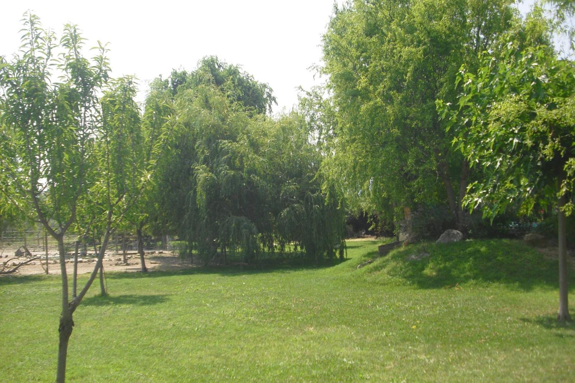 Apartament Lou Mas Li Pitchoun "Le Cortassien " Gordes Zewnętrze zdjęcie